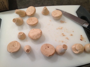 Pieces for Meringue Mushroom